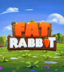 Fat Rabbit