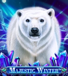 Majestic Winter